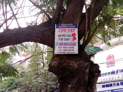 Thiếu tiền chuyện nhỏ, dịch vụ cho vay vốn sẵn sàng… leo cây