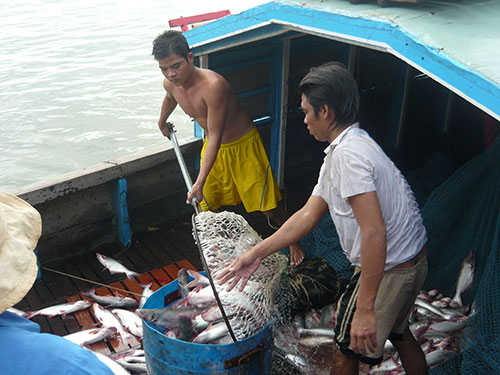 Mỹ tăng mức thuế chống bán phá giá cá tra