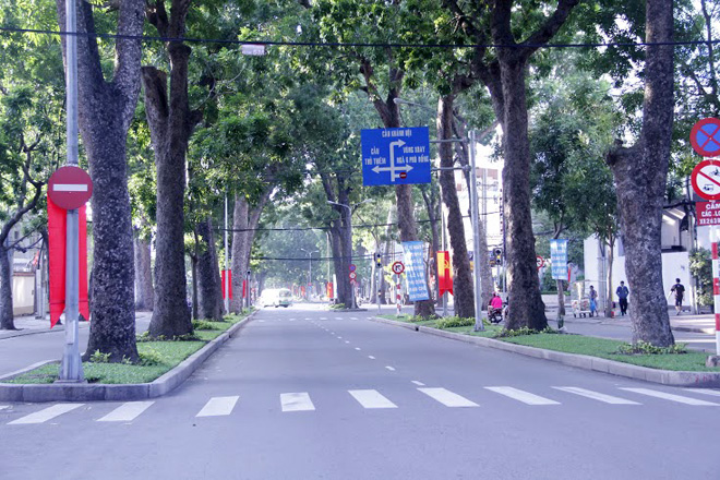 Việc x&acirc;y cầu gi&uacute;p giao th&ocirc;ng TP được thuận tiện hơn nhưng việc hy sinh nhiều c&acirc;y cổ thụ tr&ecirc;n đường T&ocirc;n Đức Thắng rợp b&oacute;ng khiến kh&ocirc;ng &iacute;t người d&acirc;n phải tiếc nuối.