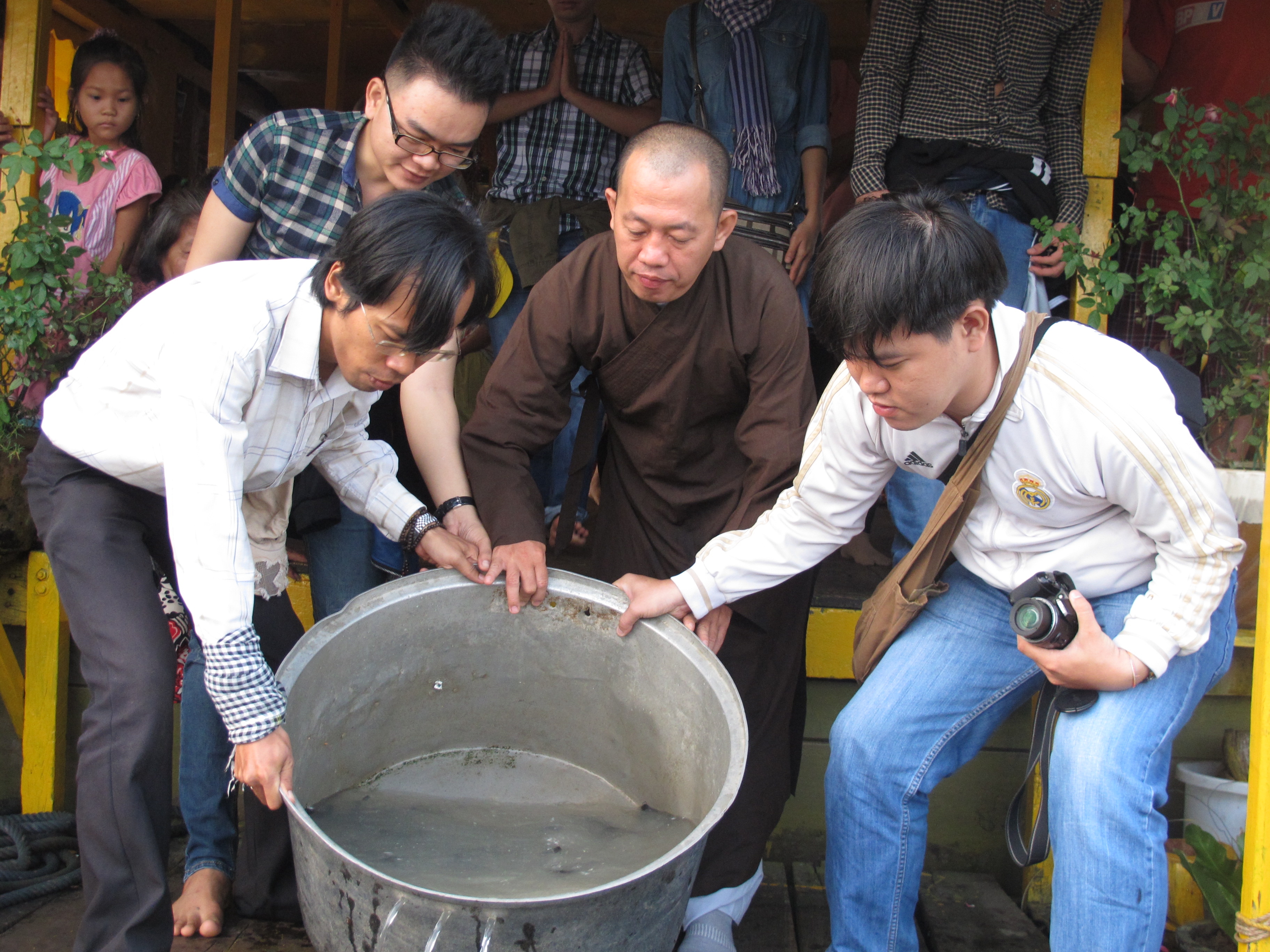 Phóng sinh cầu an ở Biển Hồ