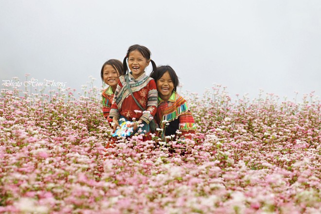H&agrave; Giang, tam gi&aacute;c mạch, m&ugrave;a hoa