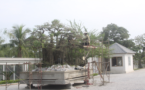 Bạch-Dinh, xe-sang, đại-gia, Thanh-Hóa, dinh-thự, nhà-lầu, biệt-thự