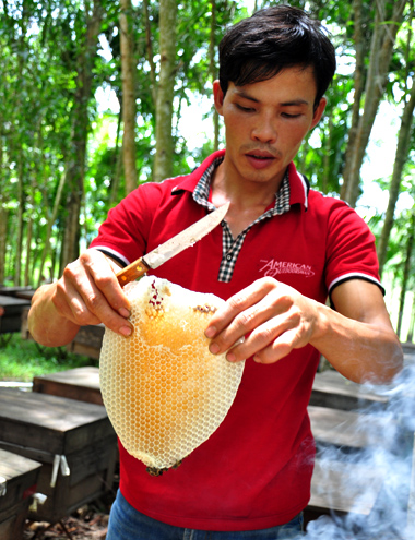 Những người thợ kiểm tra s&aacute;p ong chứa đầy mật tr&ocirc;ng giống h&igrave;nh tr&aacute;i tim.