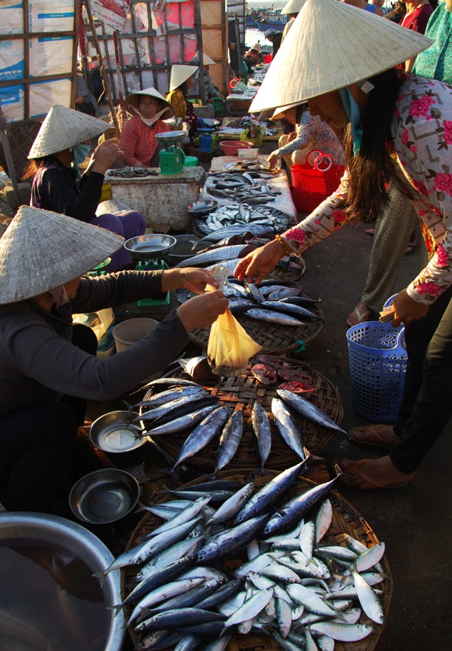 Người mua tha hồ chọn lựa những loại thủy hải sản vừa bắt l&ecirc;n. C&aacute;c mặt h&agrave;ng n&agrave;y kh&ocirc;ng chỉ c&oacute; gi&aacute; rẻ, m&agrave; c&ograve;n tươi ngon do mới đ&aacute;nh bắt về.