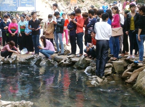 Đầu năm đi ngắm cá... thần