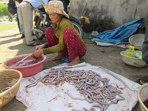 Tận diệt giun biển