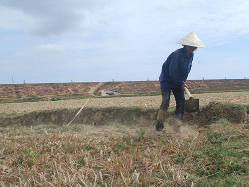 Điêu đứng vì khô hạn