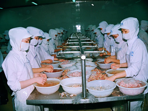Mỹ lại ép tôm Việt Nam