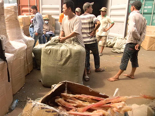 Gân khô động vật được phát hiện trong các container hàng nhập khẩu từ Trung Quốc sau khi thông quan tại VICT Ảnh: NGỌC ÁNH
