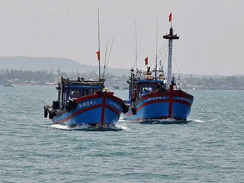 Quyết bám ngư trường