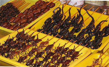 C&aacute;c m&oacute;n ăn từ c&ocirc;n tr&ugrave;ng kh&aacute;c