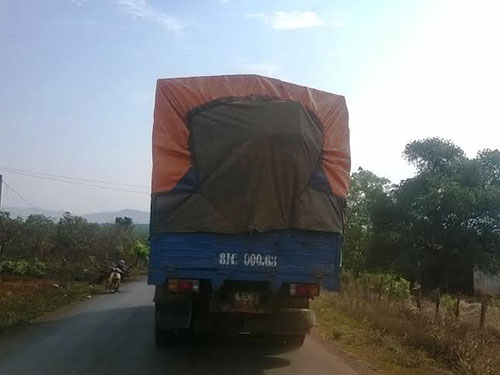 Gỗ lậu rầm rập ngày đêm
