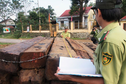 Mất tang vật vụ phá rừng lớn nhất Đà Nẵng
