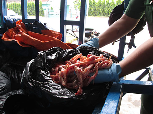 Hơn 300 kg nội tạng động vật bẩn sắp ra thị trường