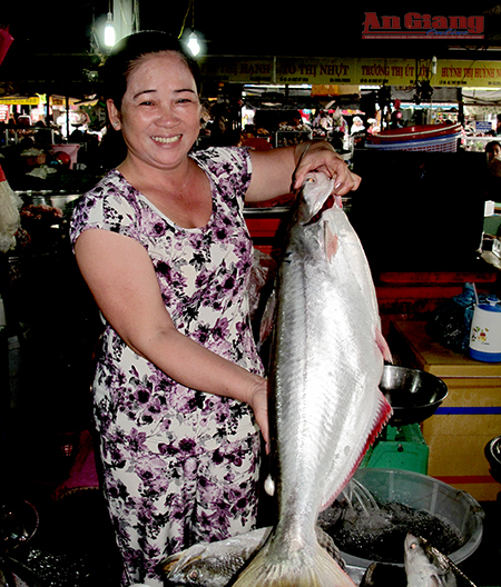 Ngư dân “trúng đậm” cá bông lau