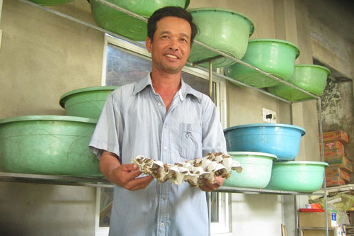 Đổi đời nhờ dế