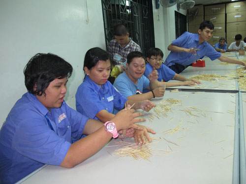 Người khuyết tật còn thiệt thòi