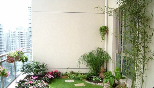 Bộ sưu tập hoa mini trên sân thượng của một gia đình ở TP HCM.