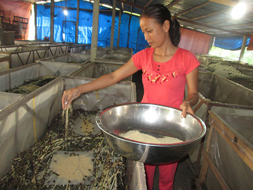 Hỗ trợ người nghèo cải thiện thu nhập