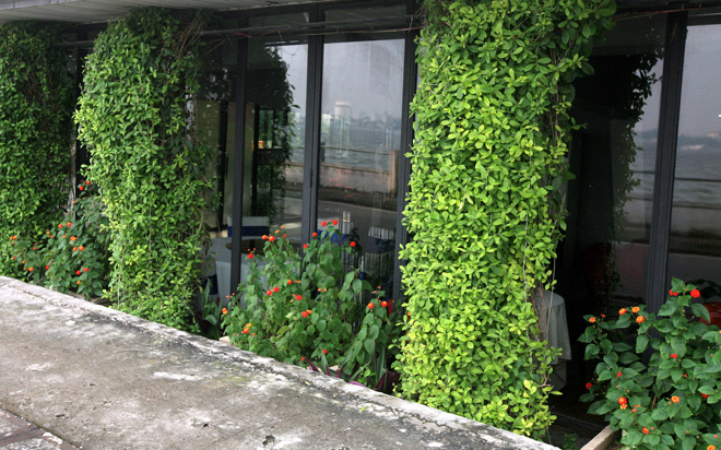Sự kết hợp h&agrave;i h&ograve;a giữa c&aacute;c cột c&acirc;y xanh v&agrave; bụi hoa nhỏ đem tới vẻ sinh động cho một nh&agrave; h&agrave;ng.