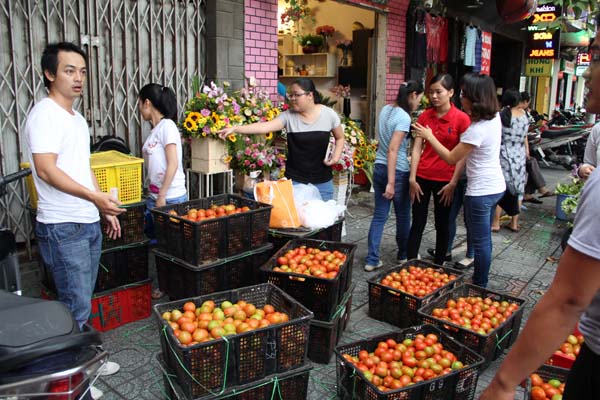 C&aacute;c bạn trẻ dự t&iacute;nh mở rộng c&aacute;c điểm b&aacute;n c&agrave; chua để hỗ trợ n&ocirc;ng d&acirc;n L&acirc;m Đồng được nhiều hơn.