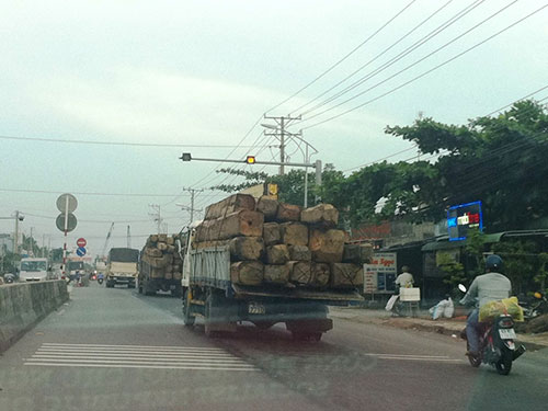 Kiểm lâm giải cứu gỗ lậu?