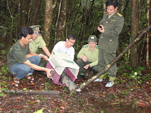 Tận diệt thú rừng