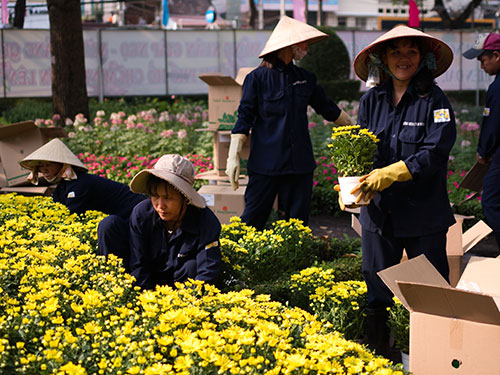 C&aacute;c c&ocirc;ng nh&acirc;n gấp r&uacute;t chuẩn bị cho Hội hoa Xu&acirc;n 2014