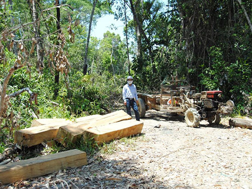 Nhân viên bảo vệ rừng tiếp tay lâm tặc