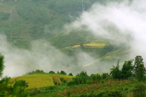 M&acirc;y như một l&agrave;n sương mỏng bay tr&ecirc;n một thửa ruộng bậc thang ở Ma L&eacute;, huyện Đồng Văn - Ảnh: K.Hưng