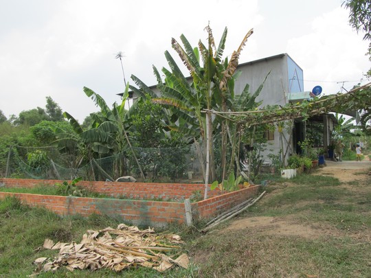 Lại rầm rộ phân lô bán nền