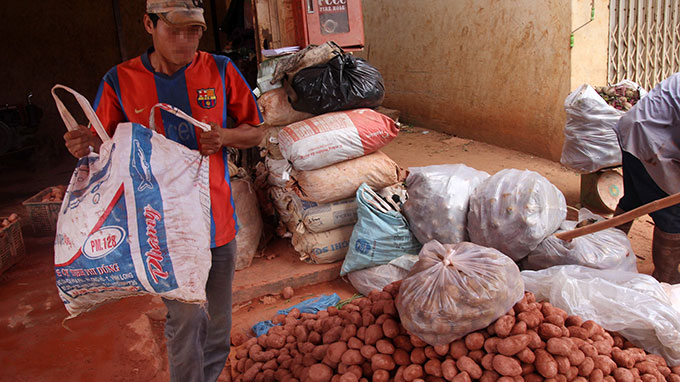 Khoai tây Trung Quốc đã nhuộm đất đỏ Đà Lạt được đưa lên xe đi khắp nơi - Ảnh: Mai Vinh