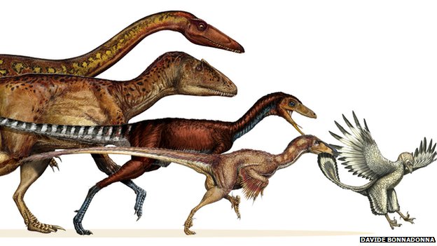 Theropods &ndash; lo&agrave;i khủng long ăn thịt khổng lồ đ&atilde; tiến h&oacute;a th&agrave;nh lo&agrave;i chim ng&agrave;y nay