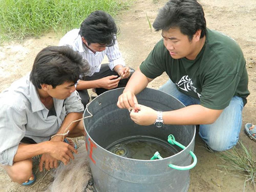 Làm đẹp cho đời