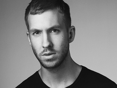 Calvin Harris đã thành công