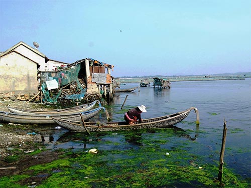 Nhiều nh&agrave; d&acirc;n x&acirc;y cất lấn chiếm đầm &Ocirc; Loan, xả thải trực tiếp xuống nước