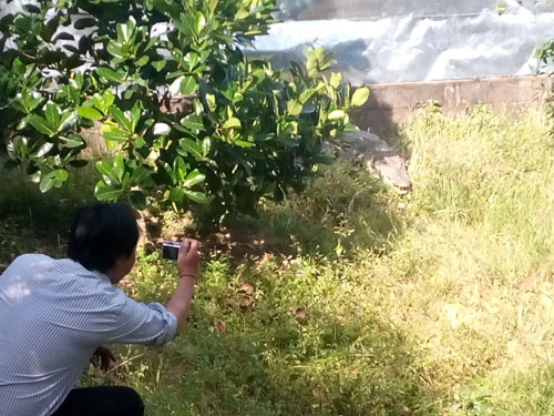 Hồi hộp vì thú dữ