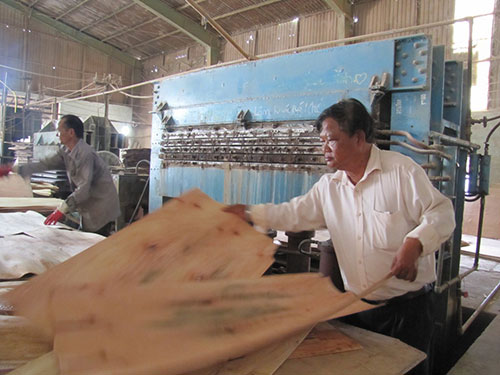 Doanh nh&acirc;n Nguyễn Văn Đức trong xưởng sản xuất v&aacute;n &eacute;p nh&acirc;n tạo Ảnh: HO&Agrave;NG DŨNG