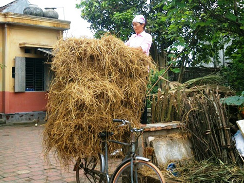 Giàu nhờ rơm, mất vân tay vì trúc