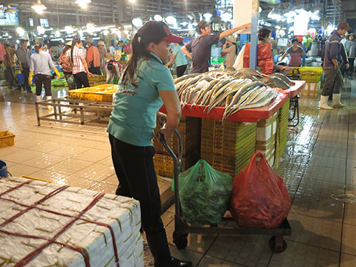 Nữ cửu vạn