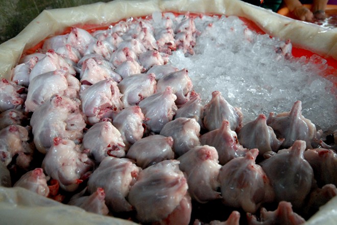Những chợ đặc biệt chỉ c&oacute; trong m&ugrave;a lũ 