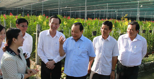 Củ Chi tập trung nuôi trồng cây con có giá trị cao