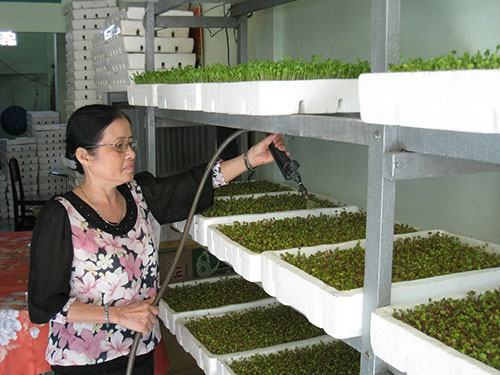 Tỉ phú nông nghiệp công nghệ cao(*): “Rau mầm bà Năm”