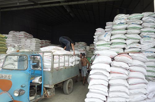 Doanh nghiệp XK gạo Việt Nam tiến thoái lưỡng nan