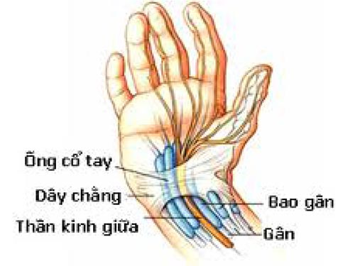 Tê hai bàn tay!