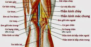 Liệt thần kinh do chấn thương