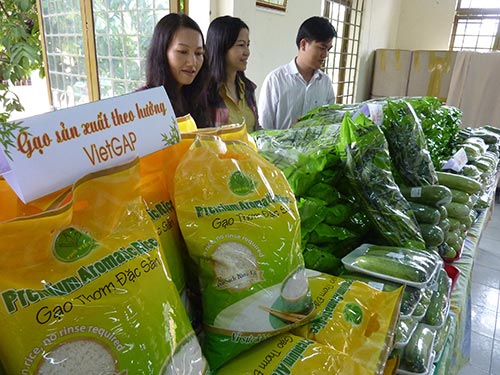 Sản xuất rau sạch tại TP HCM đang được thị trường ti&ecirc;u thụ mạnh
