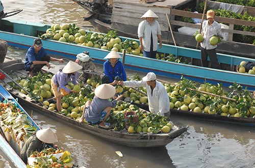 Hàng nông sản đua nhau giảm giá
