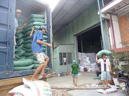 Xuất khẩu gạo bị Thái giành giật thị trường