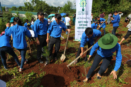 C&aacute;c đo&agrave;n vi&ecirc;n thanh ni&ecirc;n tại Điện Bi&ecirc;n c&ugrave;ng tham gia trồng c&acirc;y tr&ecirc;n đồi Độc Lập